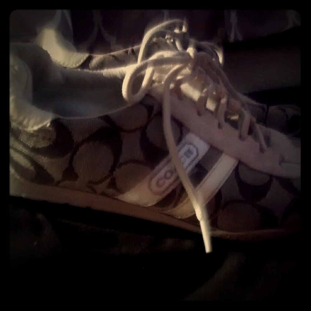 Coach Katelyn Signature Logo sneakers
